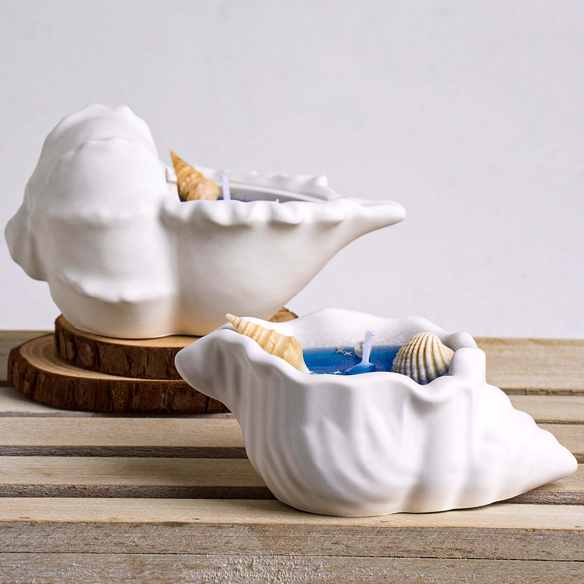 Силиконовая форма «Ракушка-цве – обзор и цена Idli Steamer Mold